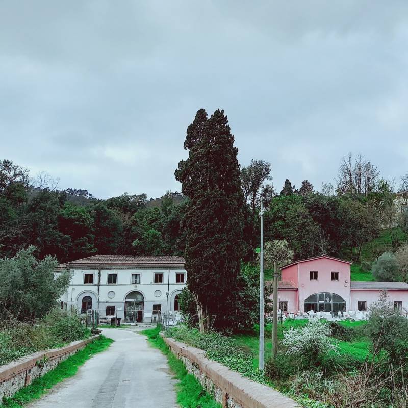 Gragnana e la sua arte