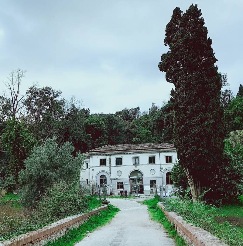 carrara artestudios