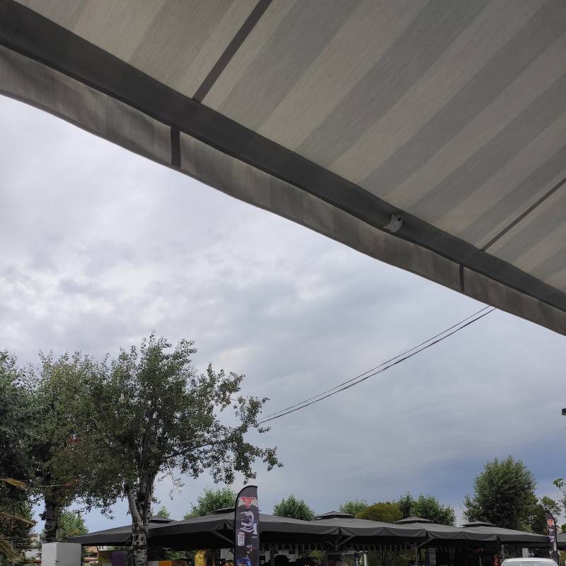 Fotosegnalazione di Ne'a moudhania'