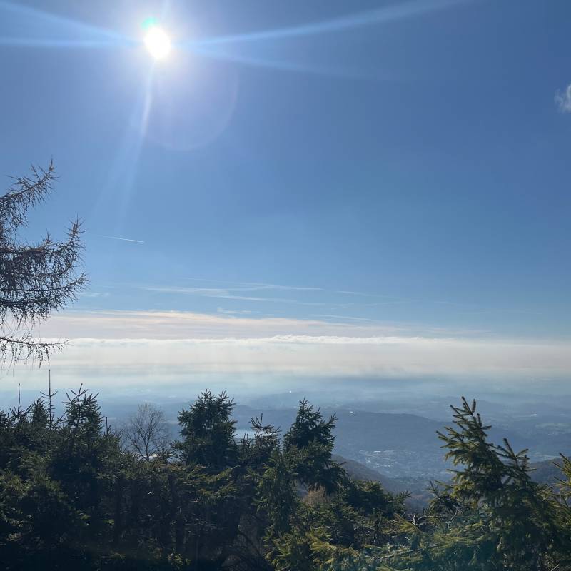Fotosegnalazione di Monte boletto