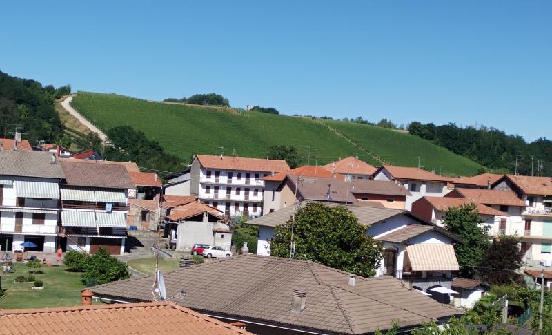la vigna