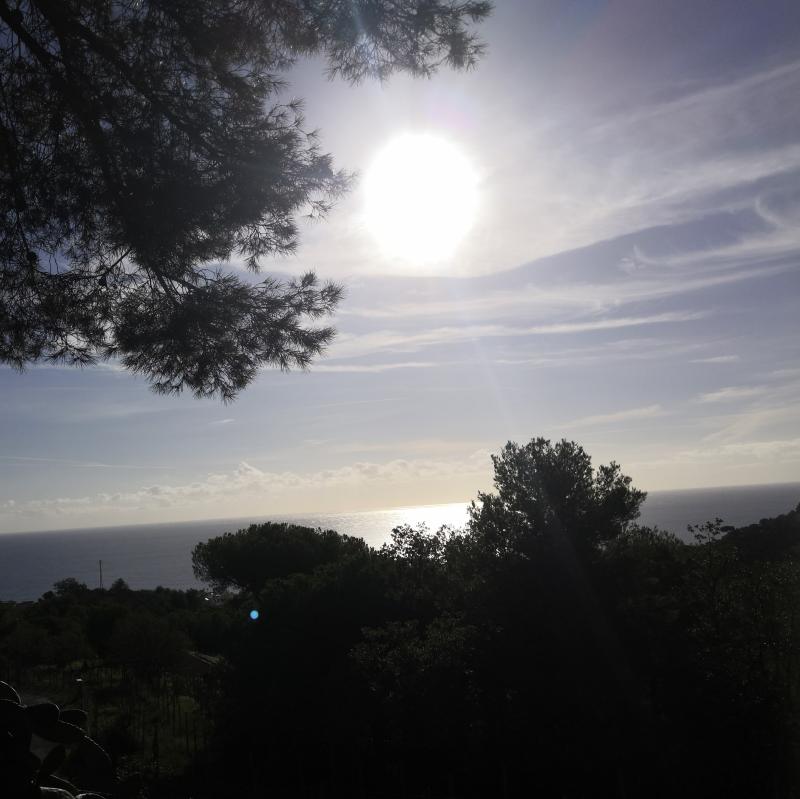 Fotosegnalazione di Alassio
