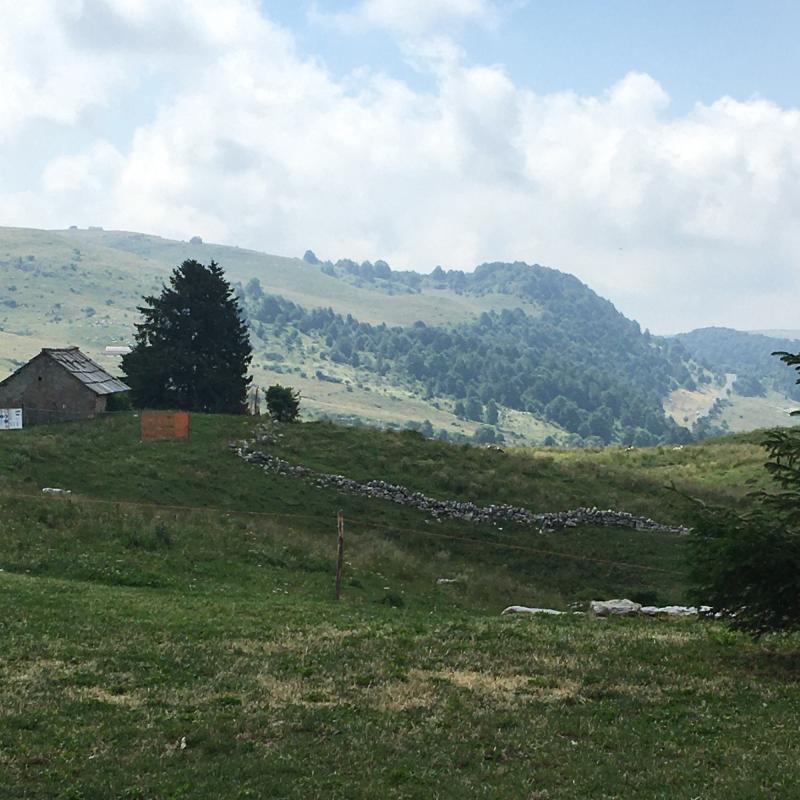 Fotosegnalazione di Malga san giorgio