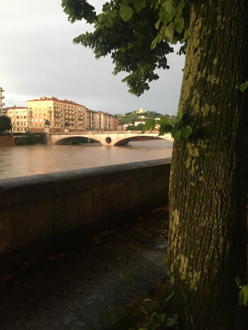 verona ponte vittoria