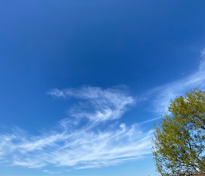 Fotosegnalazione di Anzola dell'emilia