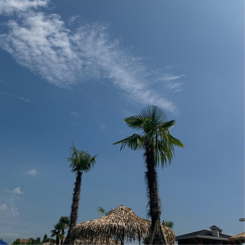 Fotosegnalazione di Pianiga