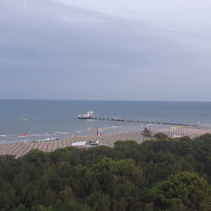 Fotosegnalazione di Lignano pineta