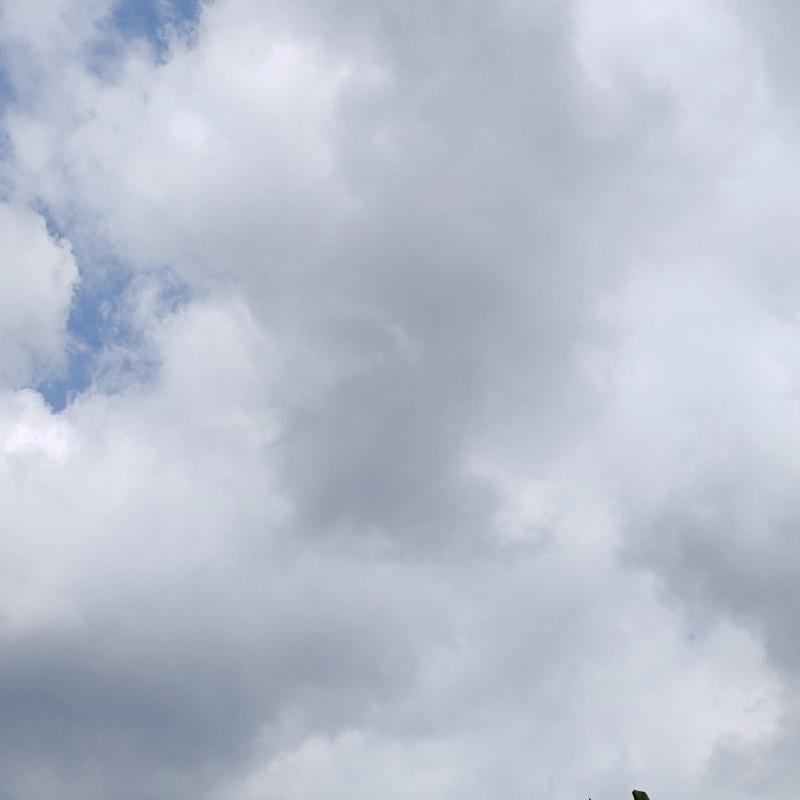 Fotosegnalazione di Nuvolento