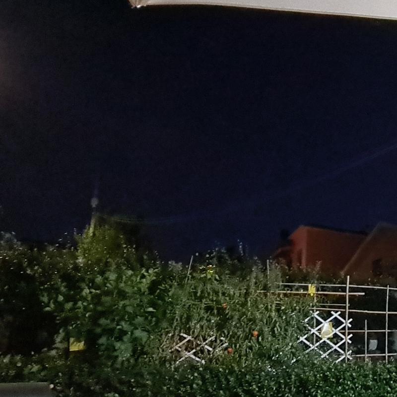 Fotosegnalazione di Roma tomba di nerone