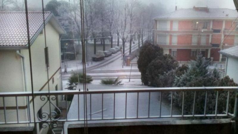 nevechimica