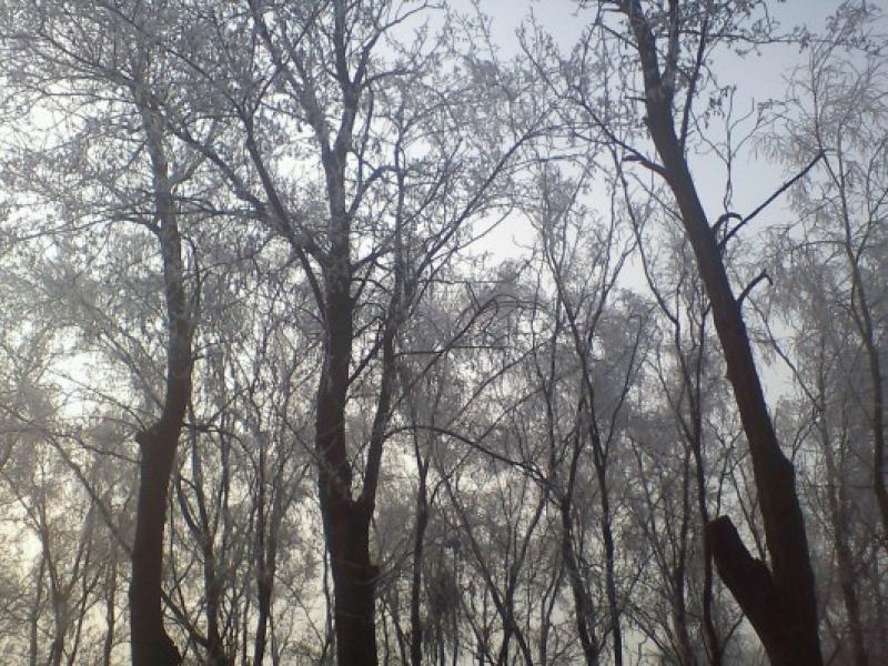 jesolod'inverno