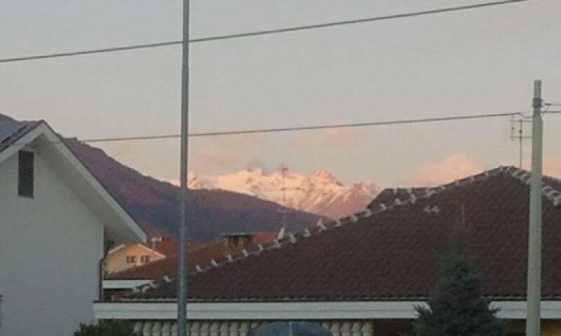 Bruino