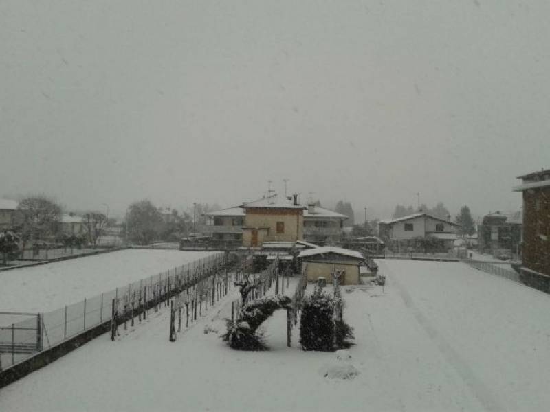 neve a San Daniele del Friuli