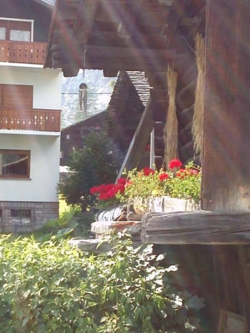 vicino alla seggiovia angolo decorato da fiori
