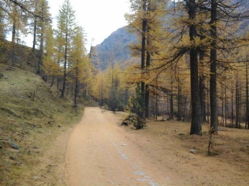 autunno in Val Troncea
