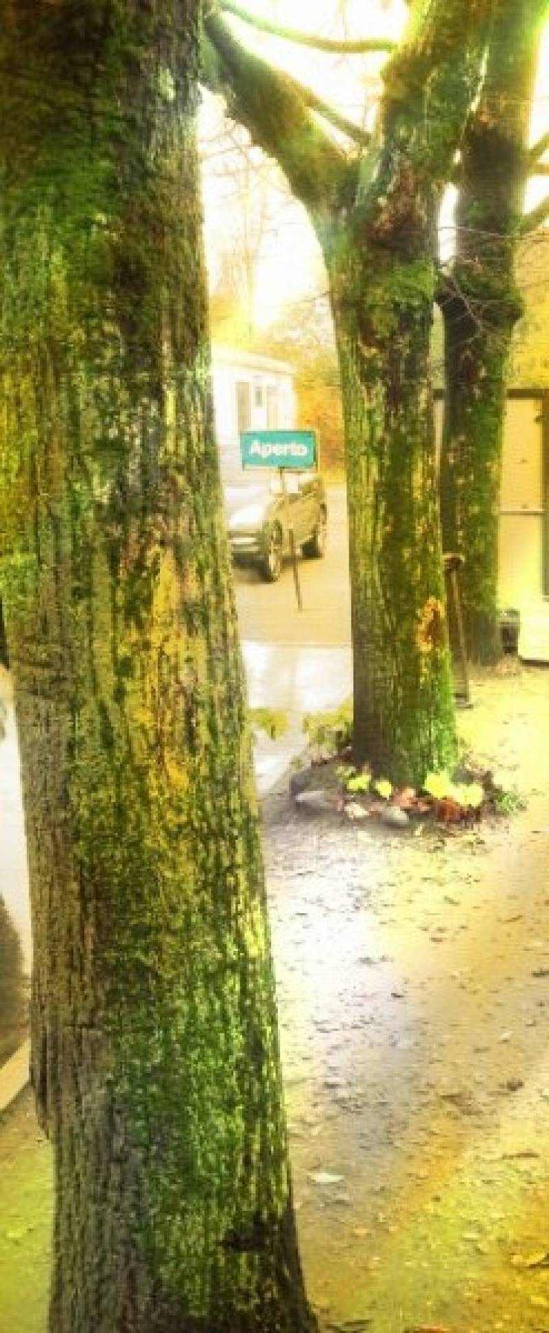 arriva l' inverno by N3LLO