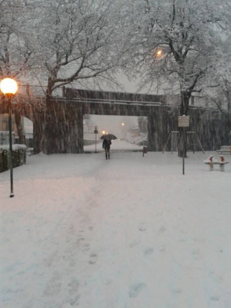  Nevicata 30/1/2014 a tolmezzo