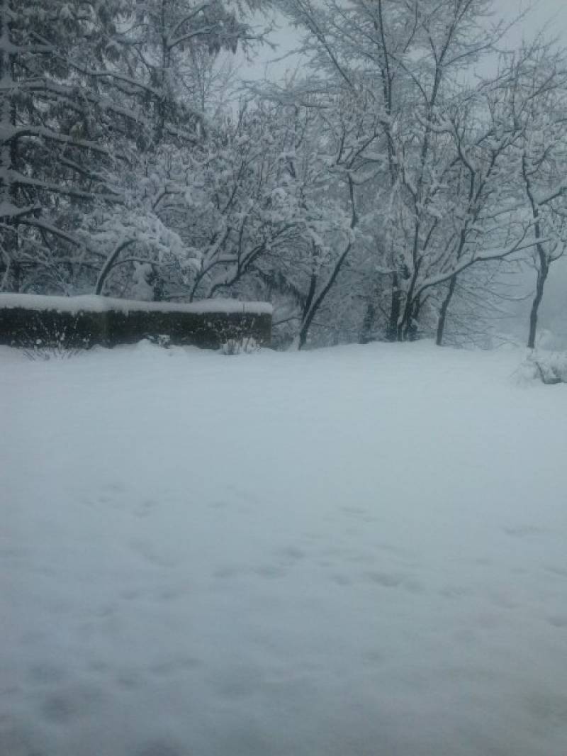 moncucco sotto la neve