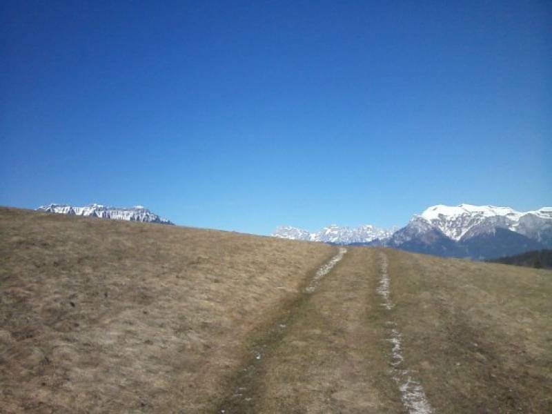 pale di San Martino da Pramossin 