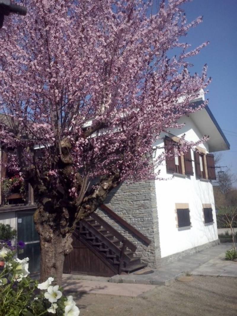Primavera in Armonia 