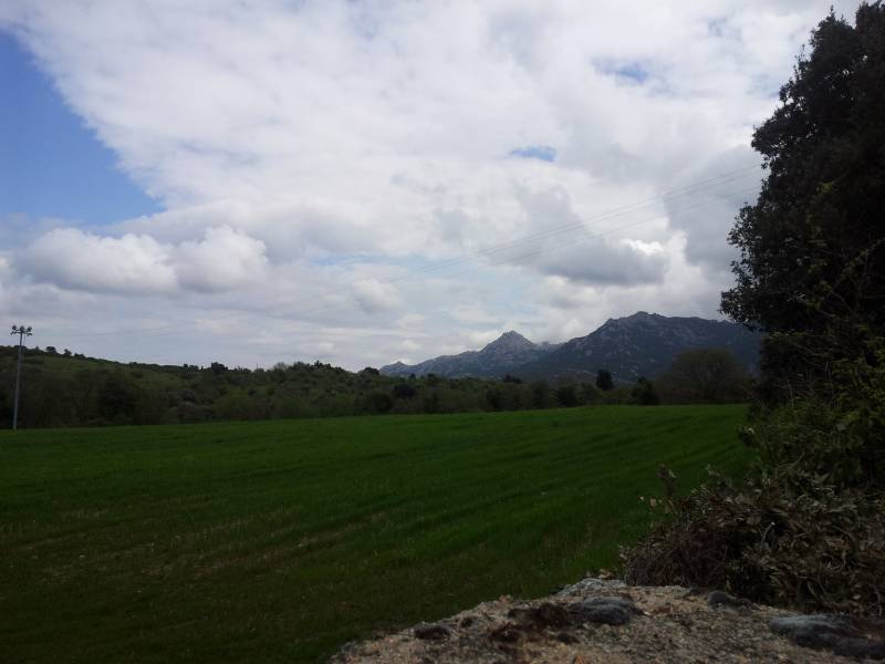 Localit Milizzana sullo sfondo il Monte Limbara.