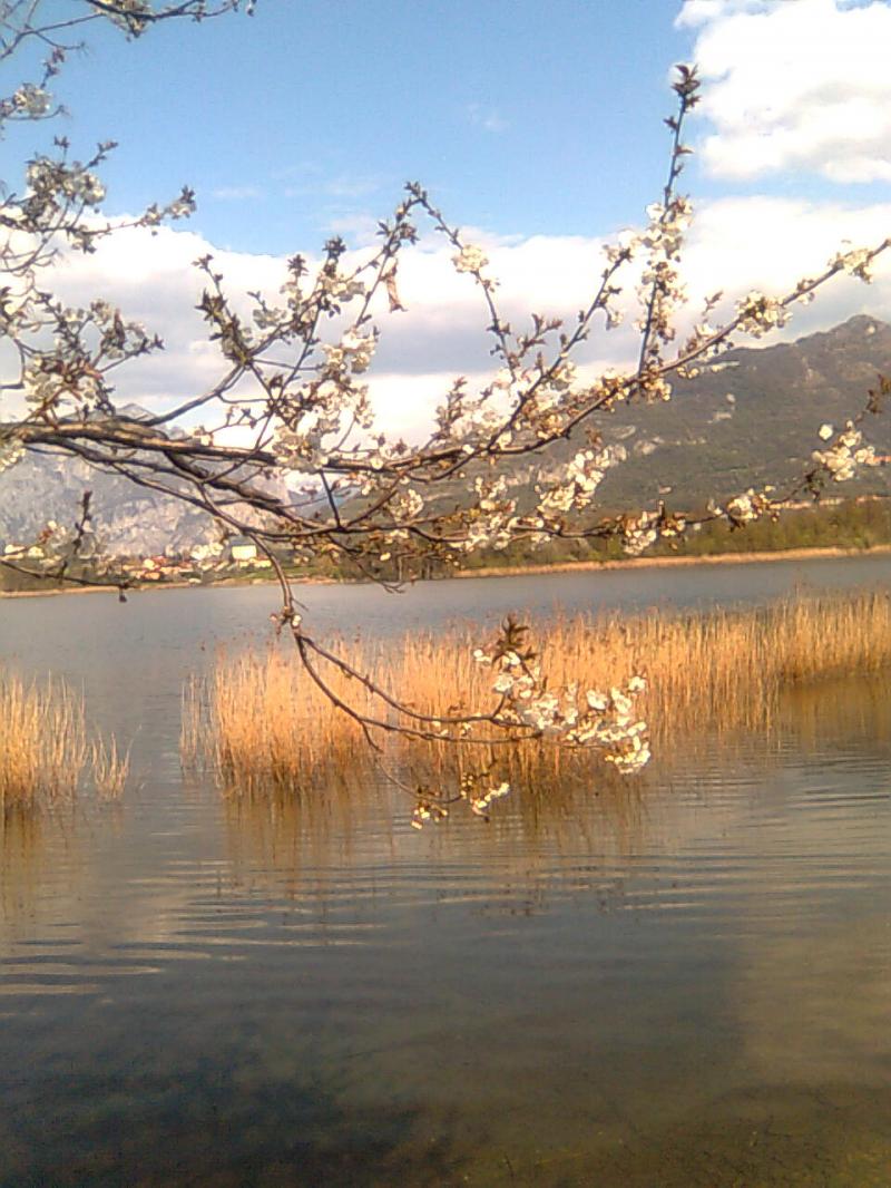 primavera sul lago di annone