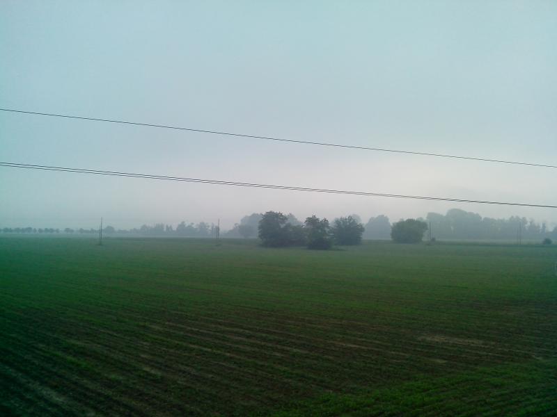 Nebbia estiva al primo mattino