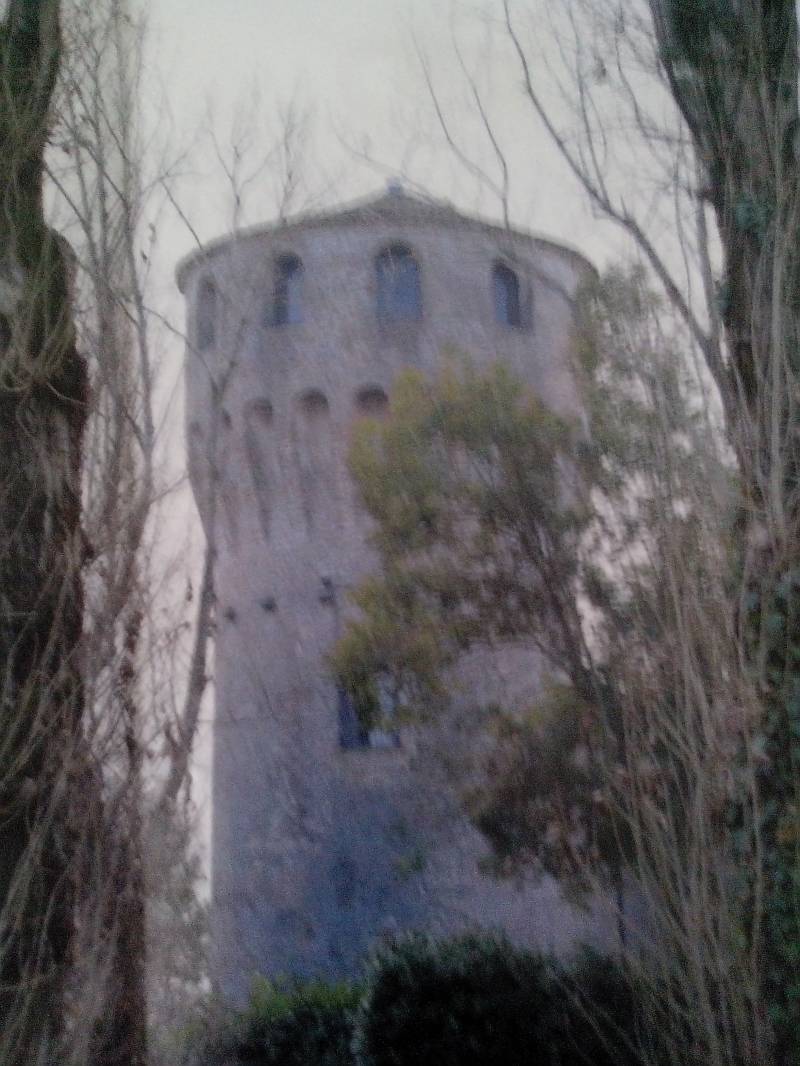 torre dei carraresi