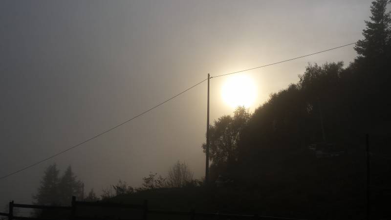 nebbia al tramonto