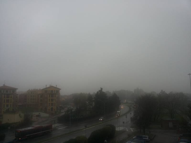 Pioggia forte con nebbia a Bologna