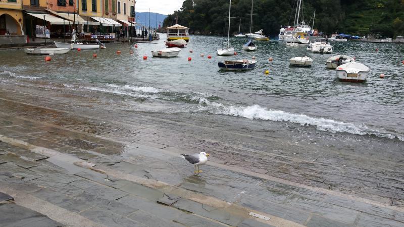 giorno di pioggia a Portofino