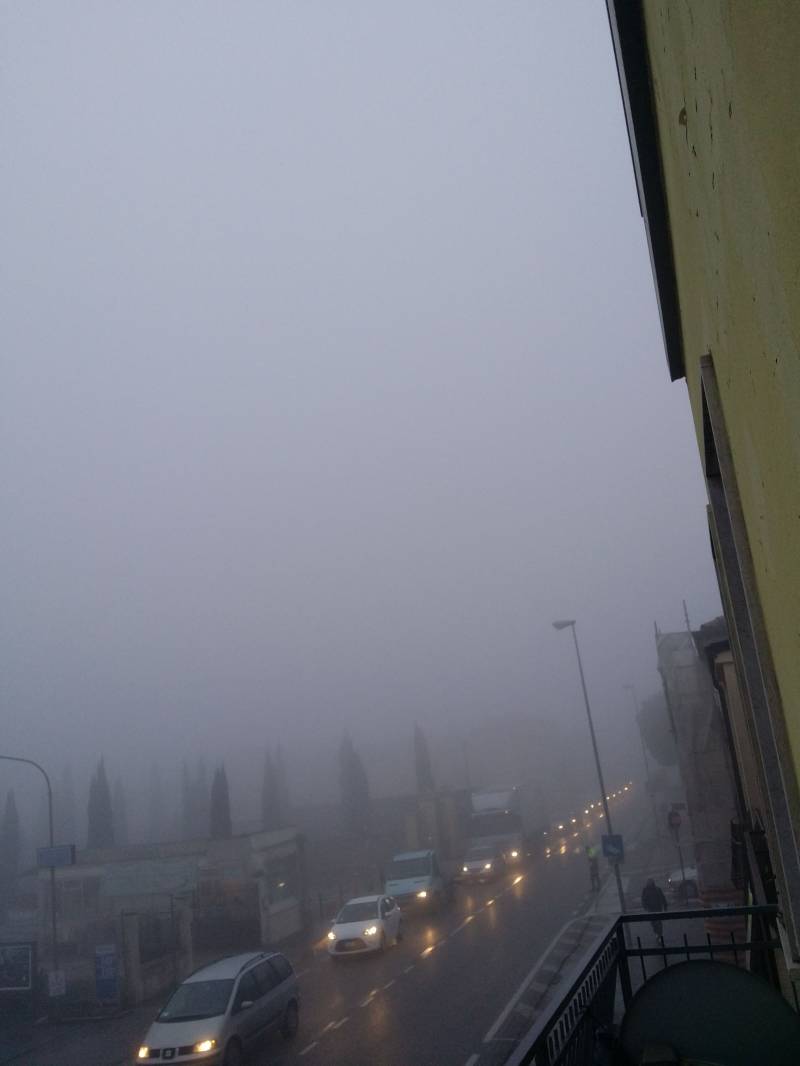 Nebbia mattutina