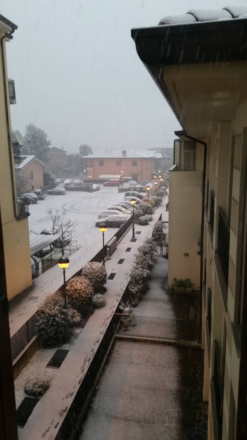 Nevicata a Montegrotto