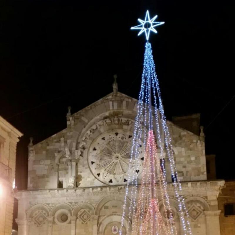 albero in piazza cattedrale
