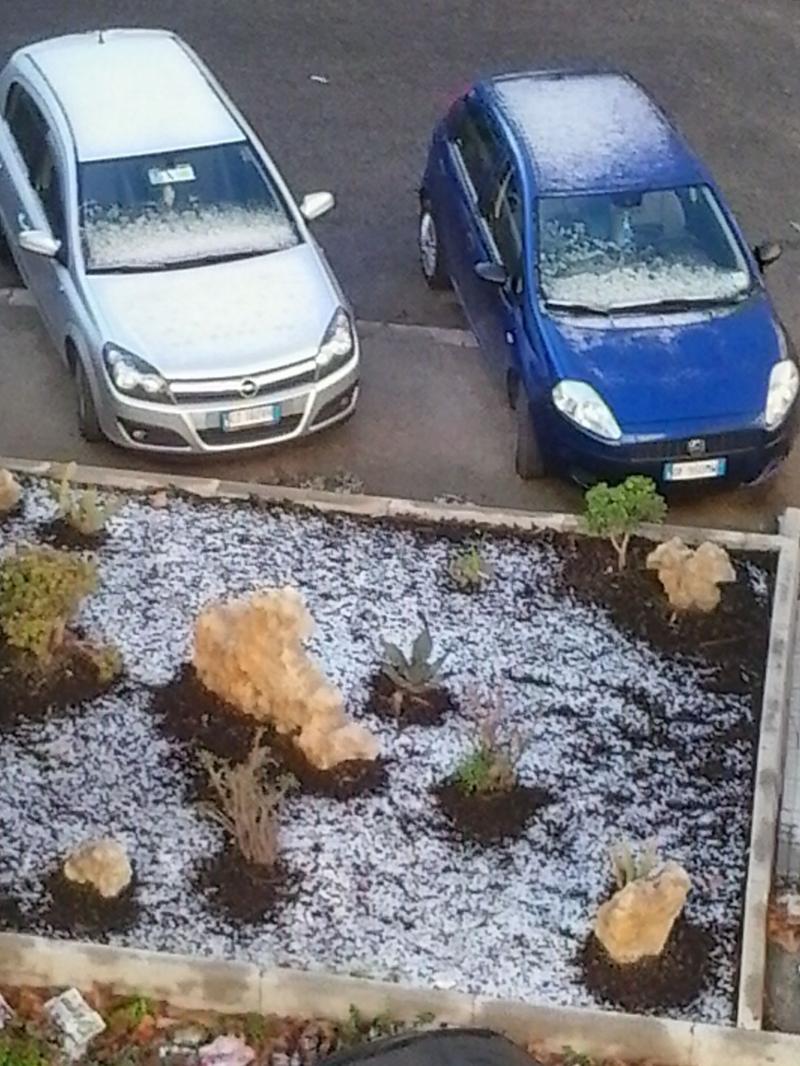 neve mattino 01. 01. 2015