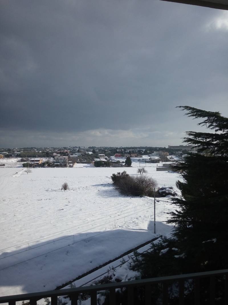 il giorno dopo la grande nevicata
