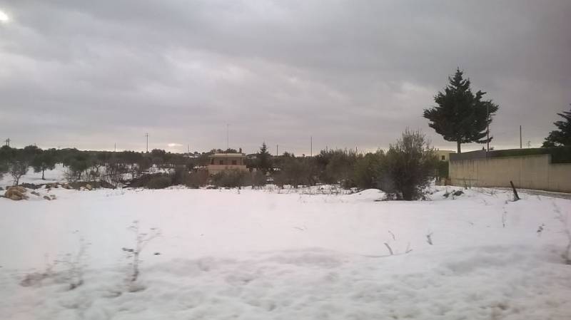 Neve a castellana