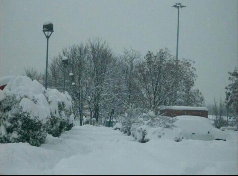 Bufera di neve a Bologna 2012
