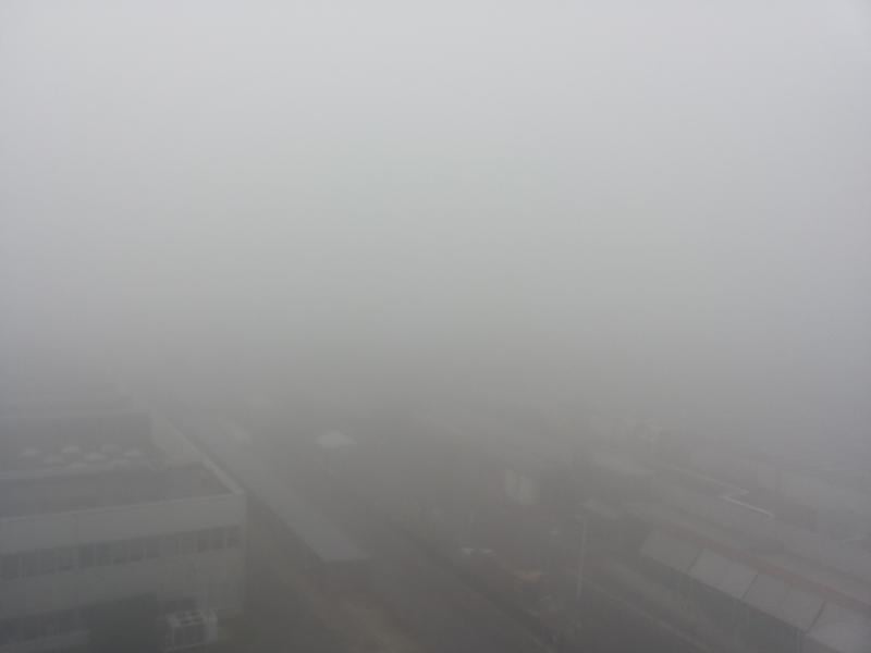 Nebbia molto fitta a Bologna