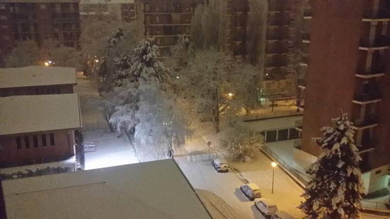 Nevicata notturna