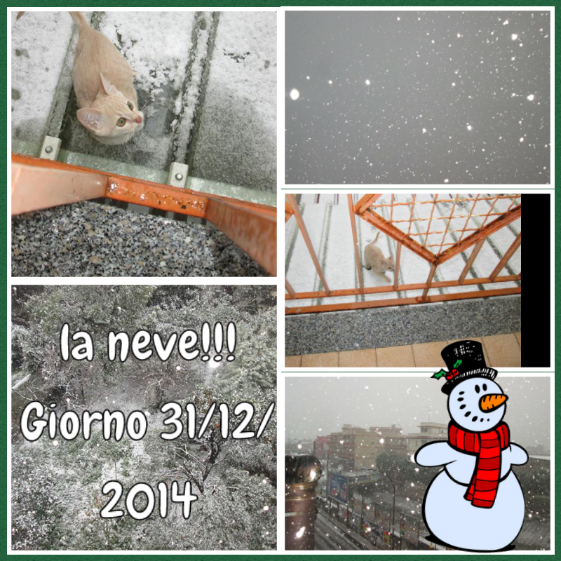 Collage invernale