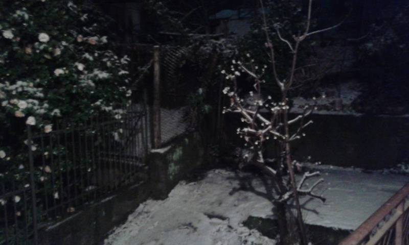 neve 29 gennaio 2015