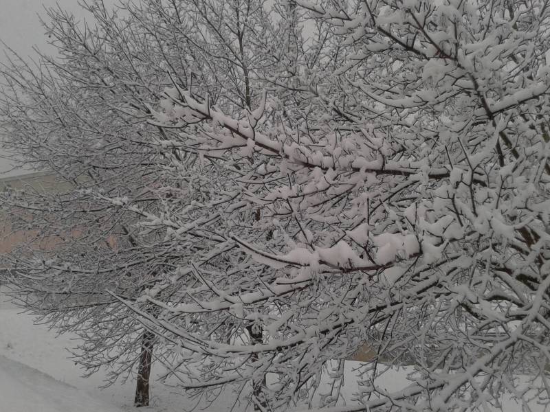 Nevicata 050215