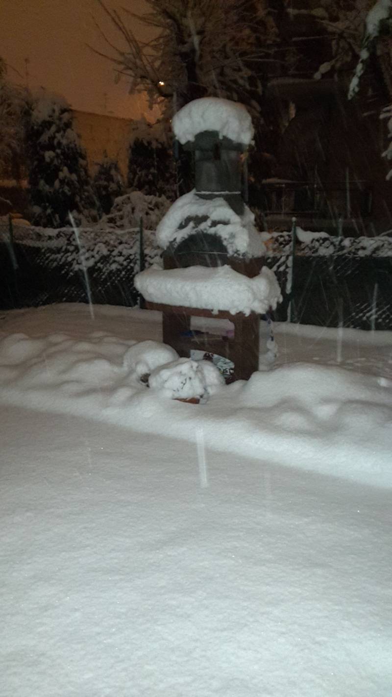 nevicata del 6 febbraio 2015