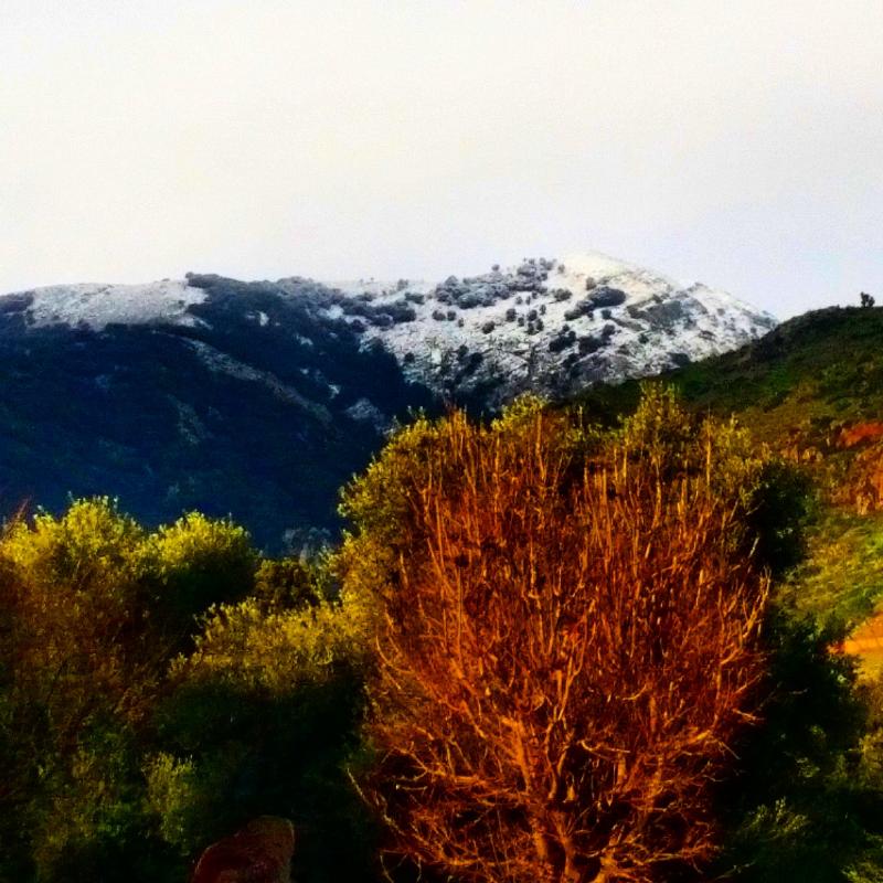 Neve durante la mattinata in montagna