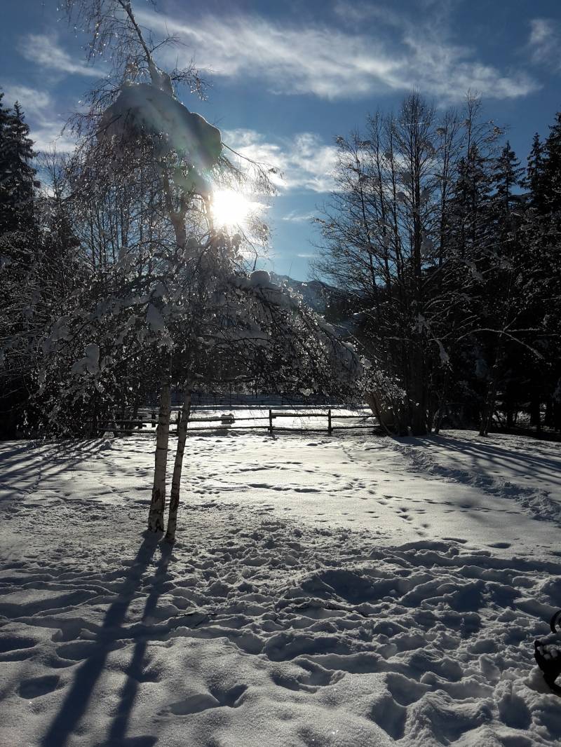 sole dopo una grossa nevicata