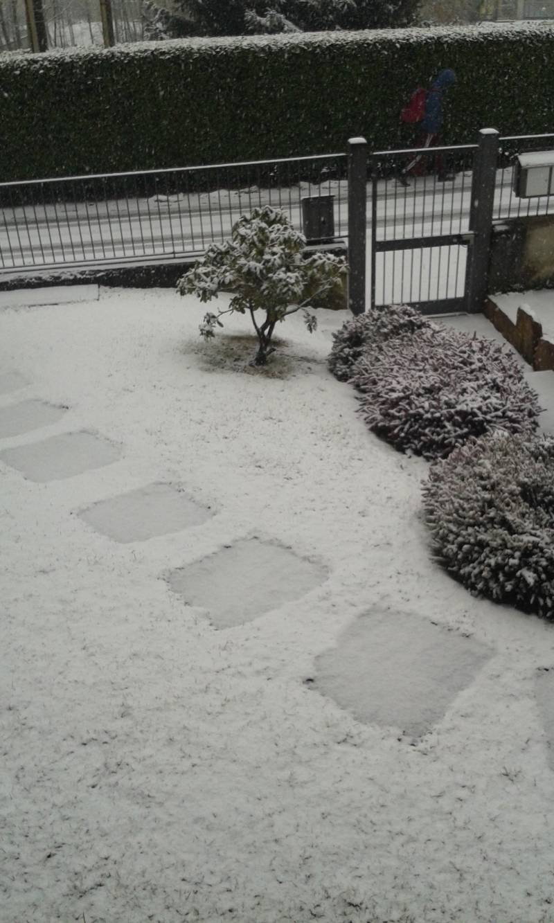 neve di Cuasso al Monte