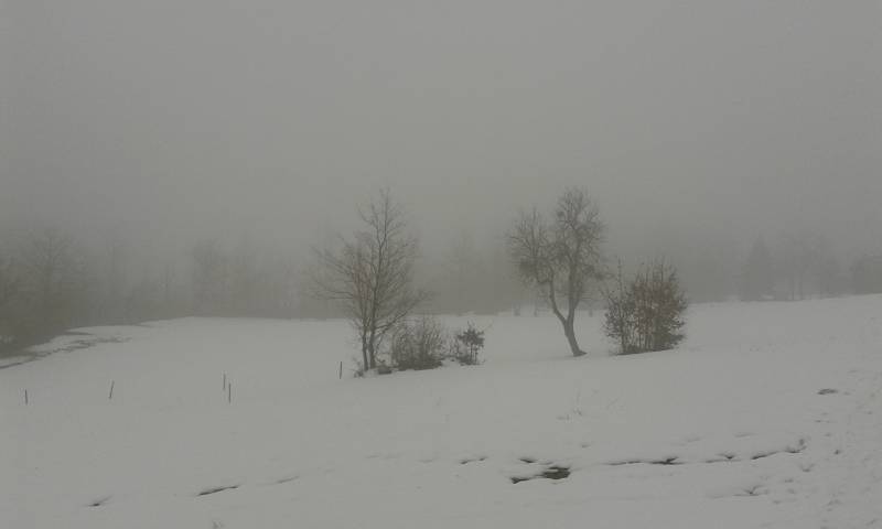neve alla marzuola