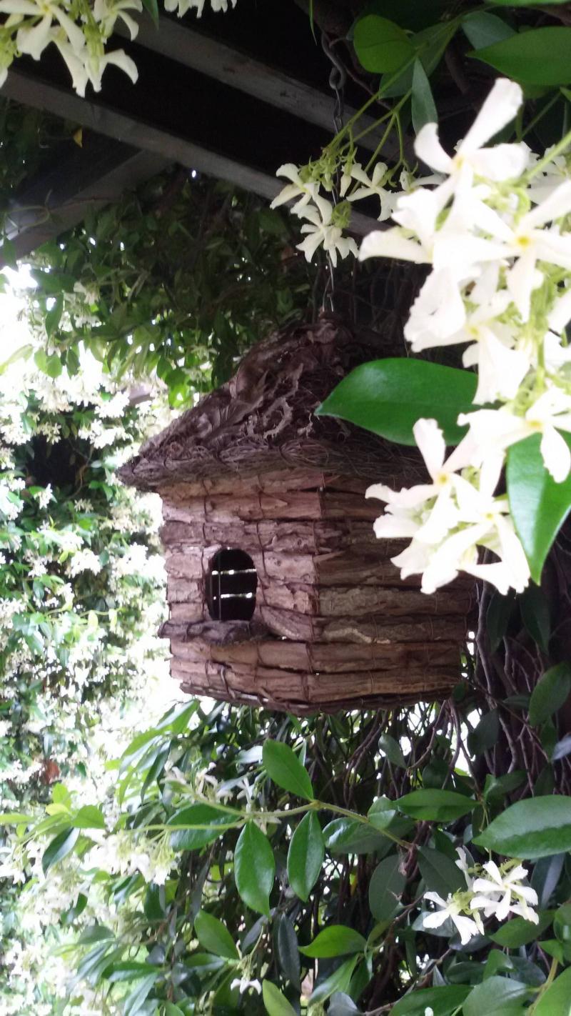 la casa fra i gelsomini