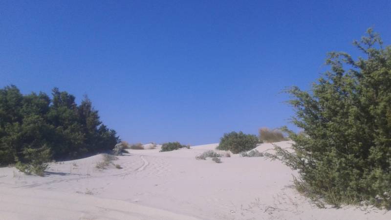 le dune